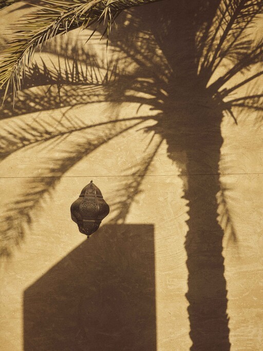 MAAG-Shoot-Dubai-Women-Day-23354