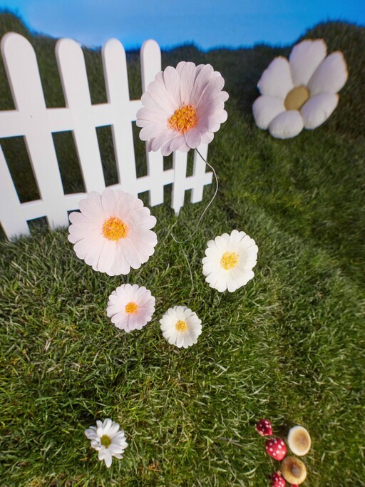 2025-03-03 MAAG53733